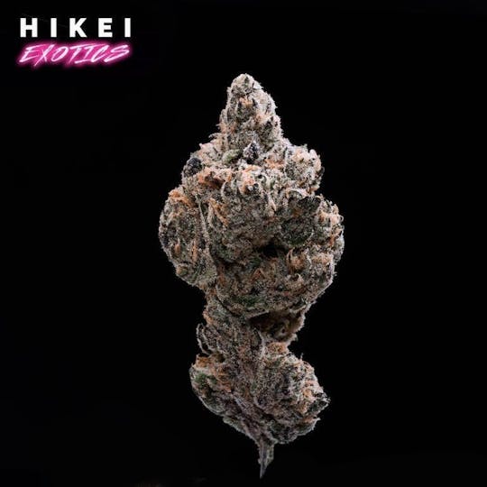 Hikei Exotics - White Christmas Zip 28g - 1