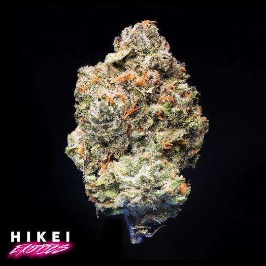 Hikei Exotics - The Cake Zip 28g - 1