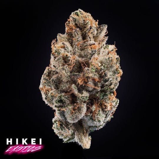 Hikei Exotics - The BG's Zip 28g - 1