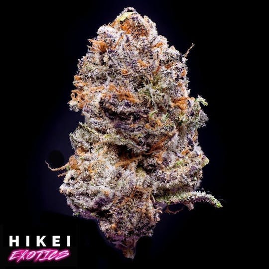 Hikei Exotics - Sundae Driver Zip 28g - 1