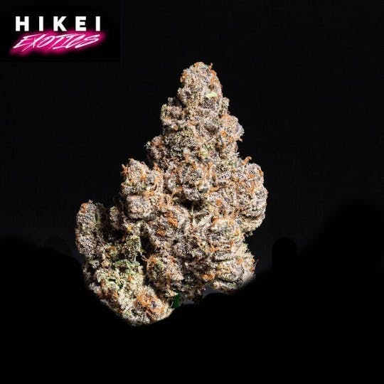 Hikei Exotics - Shortcake Zip 28g - 1