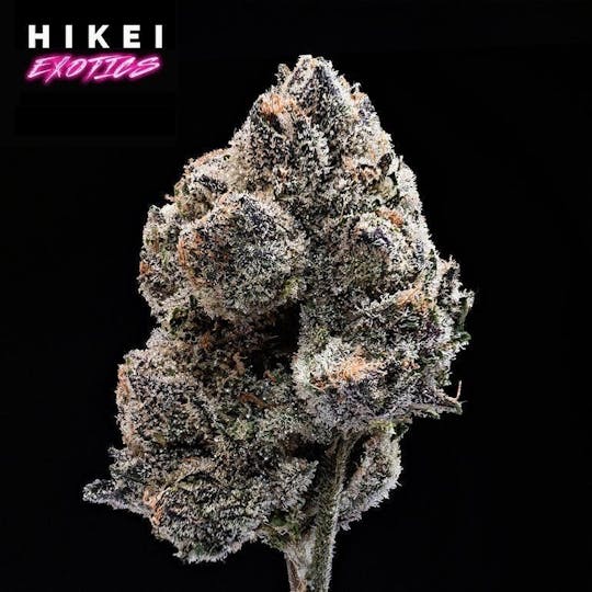 Hikei Exotics - OG- Lato Zip 28g - 1