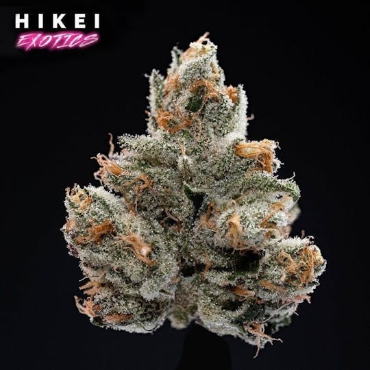 Hikei Exotics - Melon Runtz Zip 28g - 1