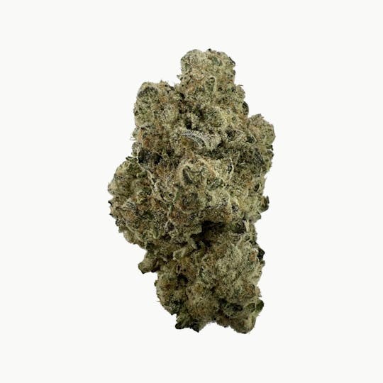 Indico - Blue Candy - 1