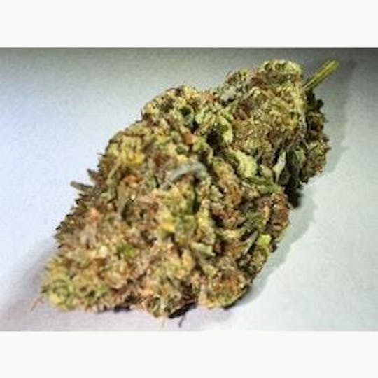 PONO LIFE MAUI - Slurricane - 1