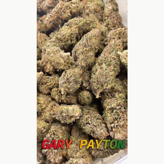 ITF - Gary Payton - 1