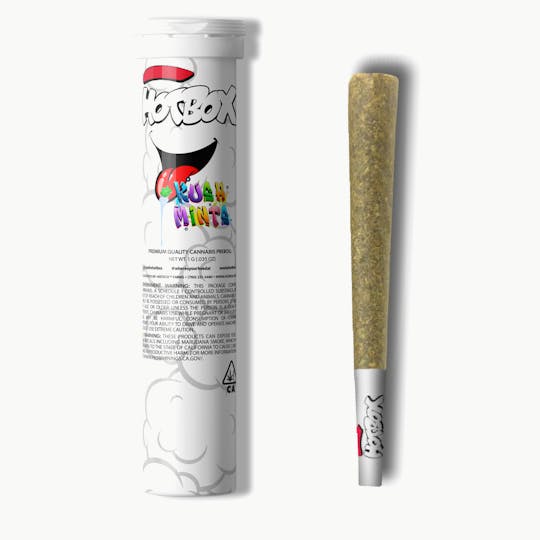 HOTBOX™ - HOTBOX | Kush Mints Indica Preroll (1g) - 1