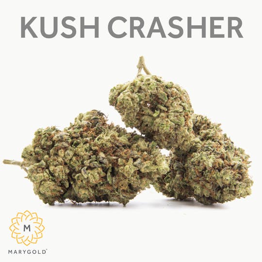 Marygold - Kush Crasher 3.5g (28% THC Indica) - 1