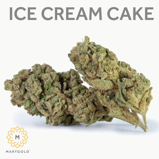 Marygold - Ice Cream Cake 14g - 1