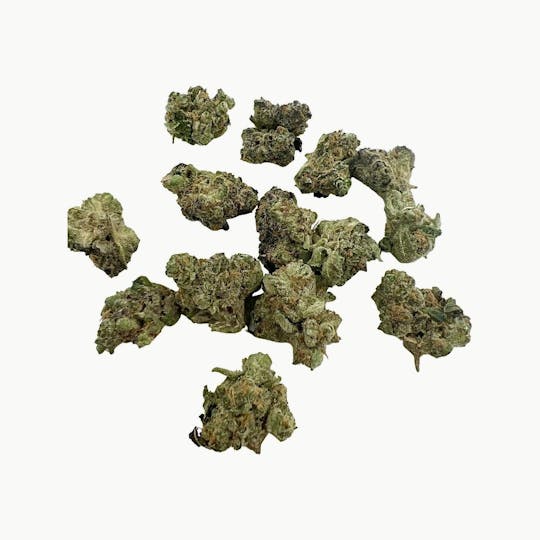Indico - Gary Payton- $100 oz - 1