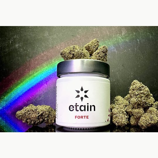 Etain - Forte Whole Flower - Rainbow Belts (RB2) - 1
