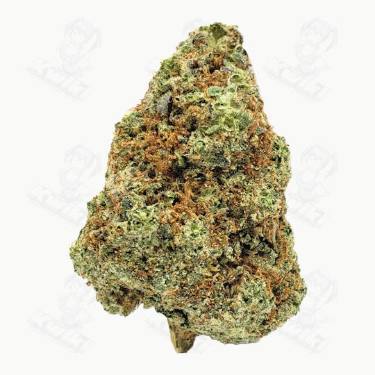 Oro - HOLY GRAIL OG *ELITE* - 1