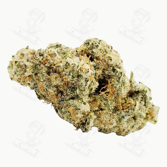 Oro - LEGEND OG *ELITE* - 1