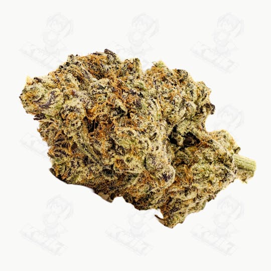 Oro - SUPER JACK HERER *ELITE* - 1