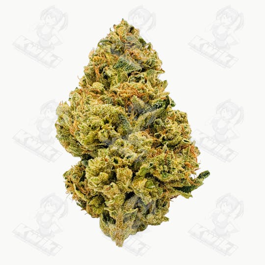 Oro - PLATINUM GORILLA GLUE *ELITE* - 1