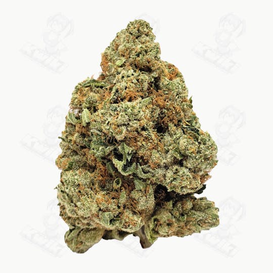 Oro - LORAX OG *ELITE* - 1