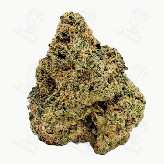 Oro - BLUE ICE NERDZ *EXOTIC* - 1