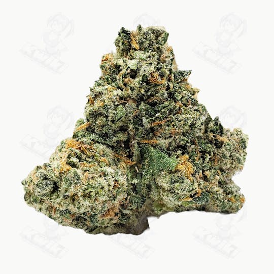 Oro - GELATO SWIRL *EXOTIC* - 1