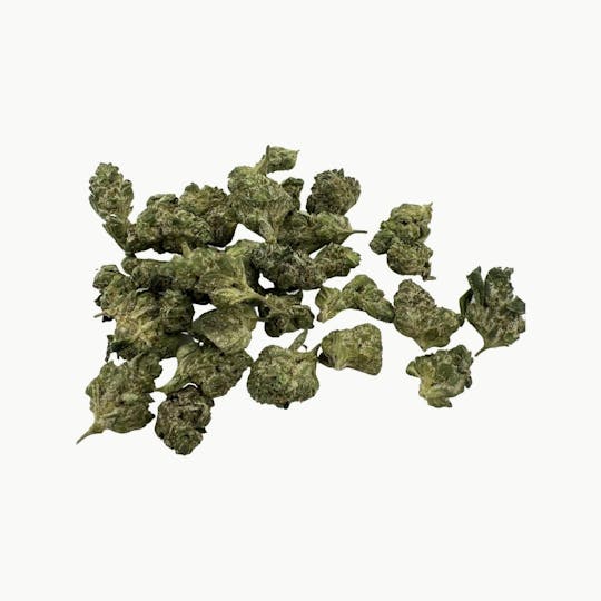 Indico - Frosted Donut Smalls - $100 oz - 1