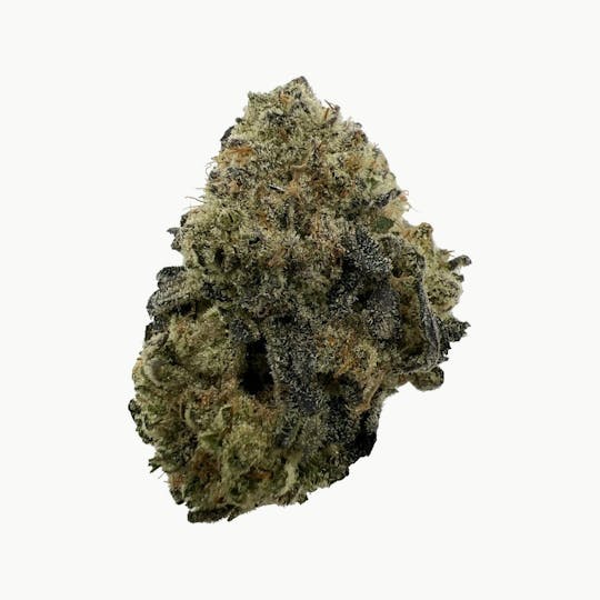 Indico - Platinum Gorilla -Casco Botanicals - 1