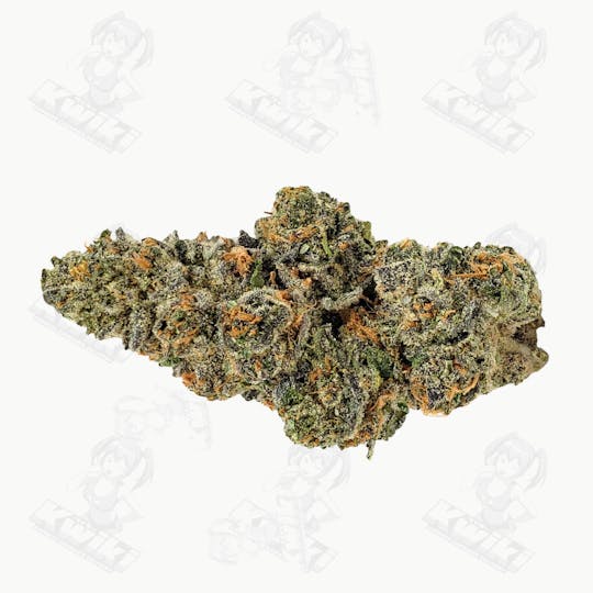 Oro - GASTRO POP *EXOTIC* - 1