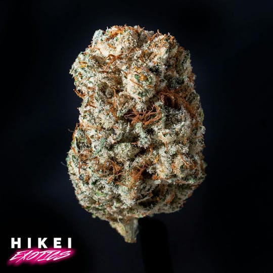 Hikei Exotics - Truth OG Zip 28g - 1