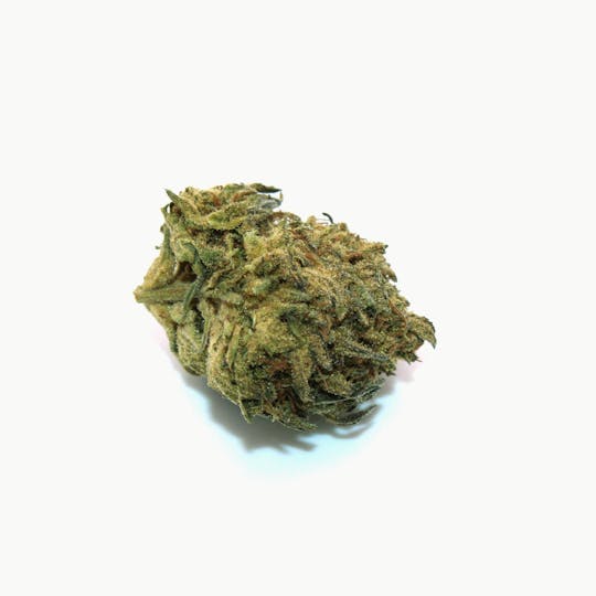 Trusty Transportations - Ice Cream Cake Ounce/28.3Grams(28%THC,INDICA) - 1