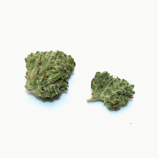 Trusty Transportations - Gush Mints Smalls 1/2 Ounce/14Grams(25%THC,HYBRID) - 1