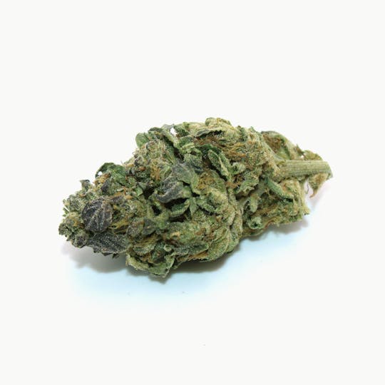 Trusty Transportations - Girl Scout Cookies 1 Gram(27%THC,INDICA) - 1