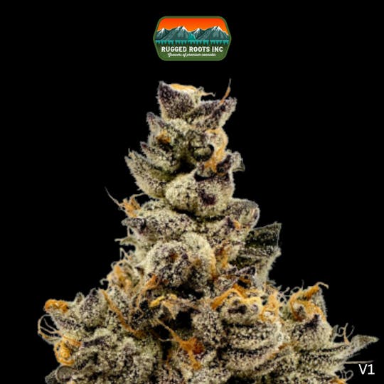 Rugged Roots - Rugged Roots | Apples & Bananas 3.5g - 1
