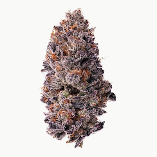 Blue Chip - Guava Gelato - 1