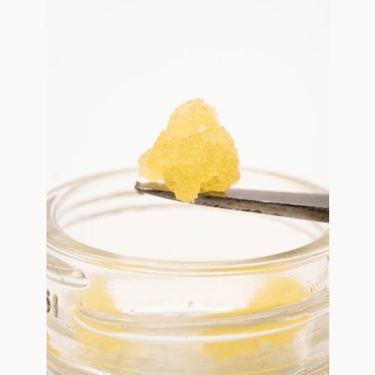 Gold Rush Premium Extracts - Gold Rush: 1 g Concentrate - Sugar - Poison Gushers - 1