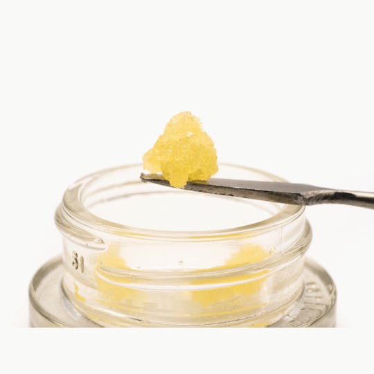 Gold Rush Premium Extracts - Gold Rush: 1 g Concentrate - Batter - Biscotti Cake - 1