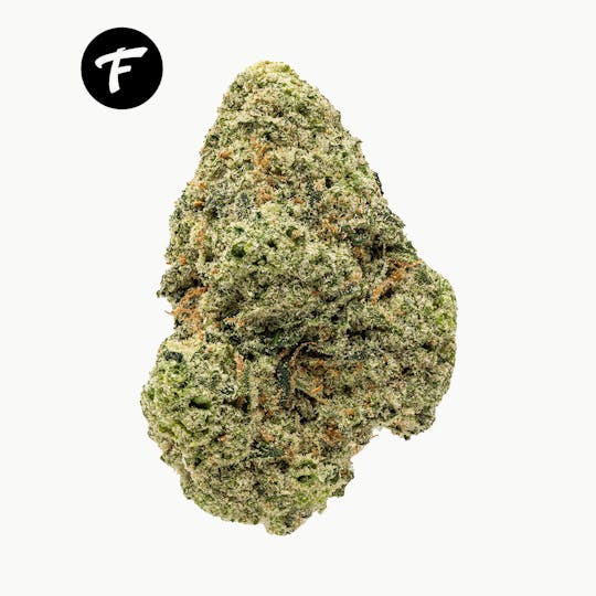 Forte Cannabis - Platinum Lemon Cherry Gelato - 19.53% - 1