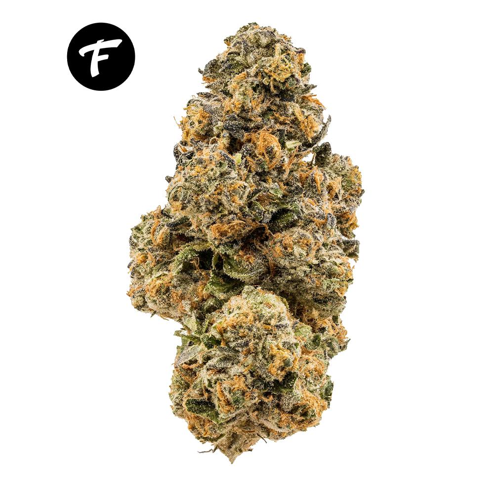 Forte Cannabis Grape Gas (Grape Pie x Jet Fuel Gelato) 25.58 Weedmaps