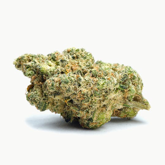 High Tide Organics - Citrus Squeeze | Indoor 3.5g - 1