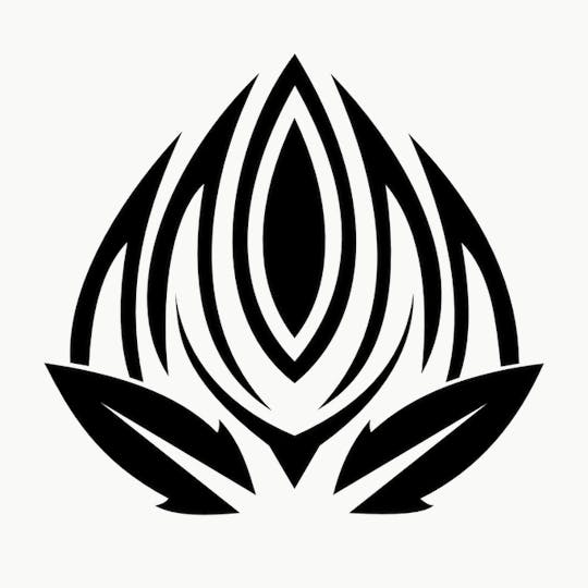 Peak Maine Cannabis - 3,000MG THC Coconut Oil Tincture - Peak Maine - 1