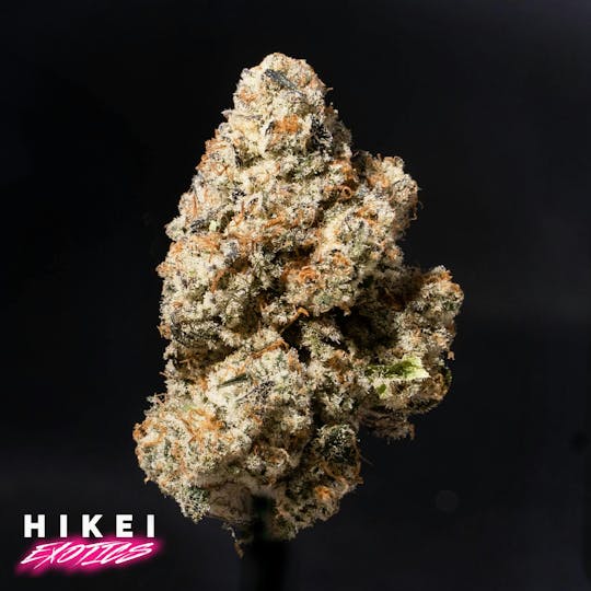 Hikei Exotics - Sherbinksi X Sweet Tea 28g Zip - 1