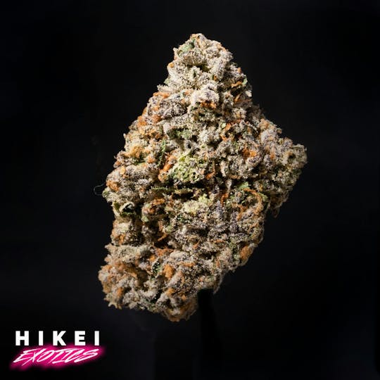 Hikei Exotics - Biscotti X Jealousy 28g Zip - 1