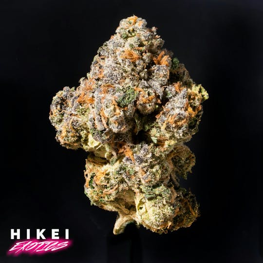 Hikei Exotics - Gelatti 3.5g Eightr - 1