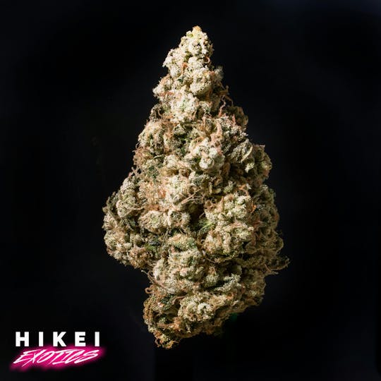 Hikei Exotics - Fatso 3.5g Eightr - 1