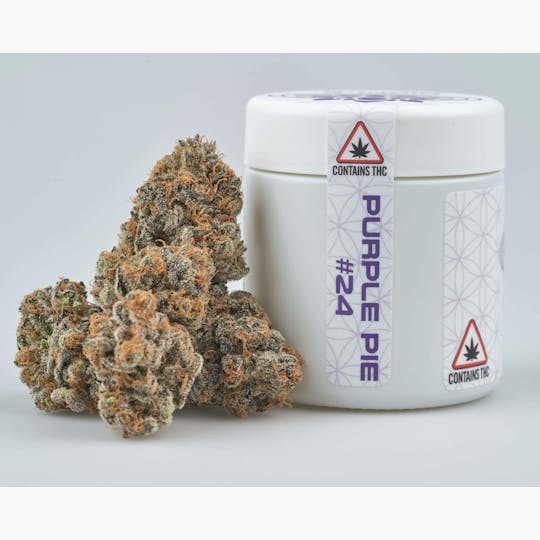 Ripple Wellness - Flower - Tier 3 - Purple Pie #24 - 1