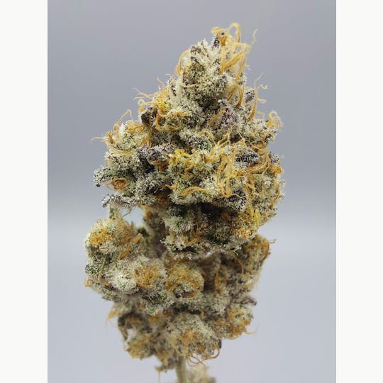 Ripple Wellness - Flower - Tier 2 - Rainbow Reserve #1 - 1