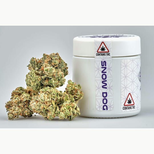 Ripple Wellness - Flower - Tier 3 - Snow Dog - 1