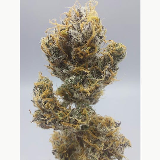 Ripple Wellness - Flower - Tier 3 - Super Craze #1 - 1