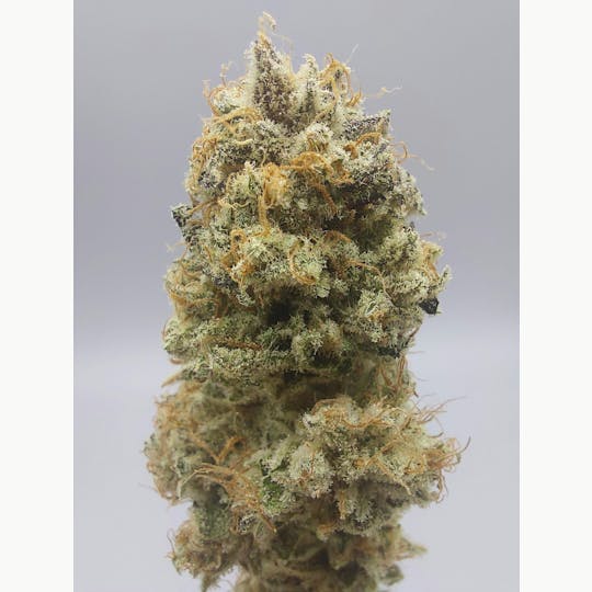 Ripple Wellness - Flower - Tier 1 - D-95 #1 - 1