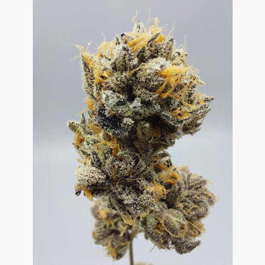 Ripple Wellness - Flower - Tier 1 - Dozi - Zo'z #8 - 1