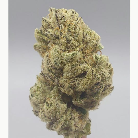 Ripple Wellness - Flower - Tier 3 - Lemon Lava #2 - 1