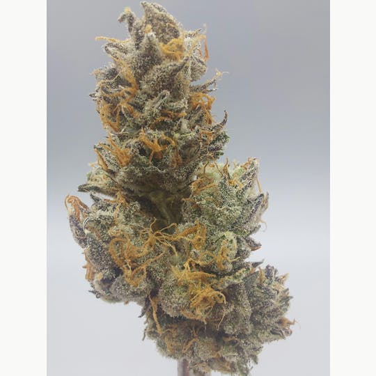 Ripple Wellness - Flower - Tier 3 - Lemon Lava #3 - 1