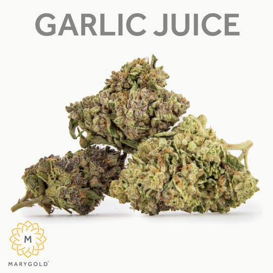Marygold - Garlic Juice 14g (31% THC Indica) - 1